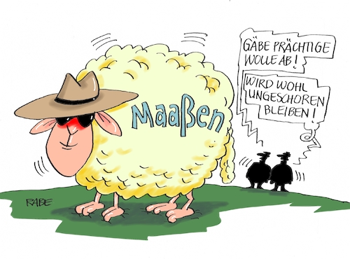 Maaßschaaf Maaßschaaf
