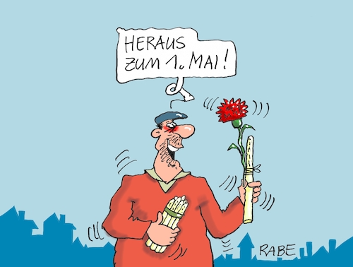 Mainelke Spargel Mainelke Spargel
