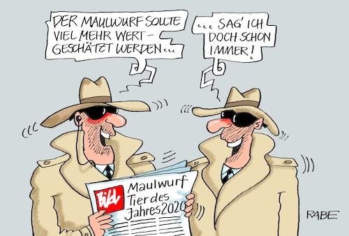 Cartoon: Maulwurf Tier des Jahres (medium) by RABE tagged geheimdienste,verfassungsschutz,bnd,abhörzentrale,schlapphüte,überwachung,überwachungsstaat,rabe,ralf,böhme,cartoon,karikatur,presszeichnung,farbcartoon,tagescartoon,maulwurf,maulwurfshügel,gerten,blind,wertschätzung,anerkennung,geheimdienste,verfassungsschutz,bnd,abhörzentrale,schlapphüte,überwachung,überwachungsstaat,rabe,ralf,böhme,cartoon,karikatur,presszeichnung,farbcartoon,tagescartoon,maulwurf,maulwurfshügel,gerten,blind,wertschätzung,anerkennung