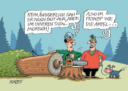 Cartoon: Morsche Angelegenheit (medium) by RABE tagged ampelregierung,scholz,spd,grüne,fdp,lindner,kinder,kindergrundsicherung,rabe,ralf,böhme,cartoon,karikatur,pressezeichnung,farbcartoon,tagescartoon,hausmeister,ohren,zähne,coronahilfe,bvg,haushaltssperre,schuldenbremse,energiepreisbremse,bundeshaushalt,geld,euro,baum,baumfällarbeiten,waldarbeiter,motorsäge,kettensäge,motorkettensäge,ampelregierung,scholz,spd,grüne,fdp,lindner,kinder,kindergrundsicherung,rabe,ralf,böhme,cartoon,karikatur,pressezeichnung,farbcartoon,tagescartoon,hausmeister,ohren,zähne,coronahilfe,bvg,haushaltssperre,schuldenbremse,energiepreisbremse,bundeshaushalt,geld,euro,baum,baumfällarbeiten,waldarbeiter,motorsäge,kettensäge,motorkettensäge