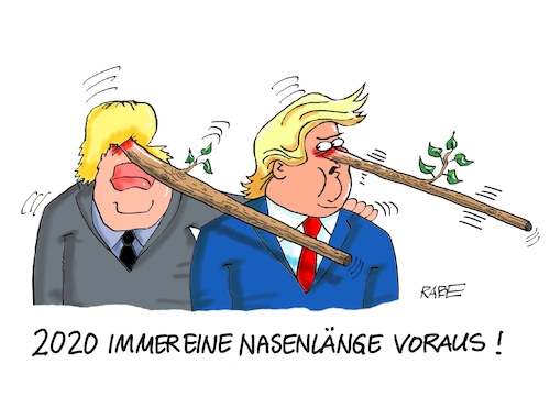 Nasenbären Nasenbären