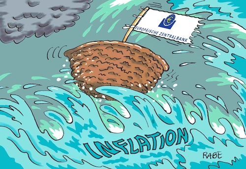 Nußschale Nußschale