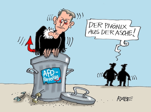Phönix aus der Asche Phönix aus der Asche
