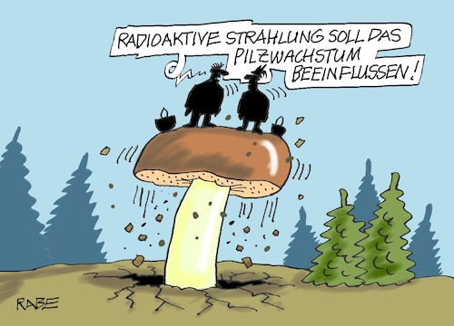 Pilzwachstum Pilzwachstum