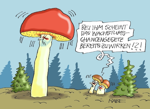 Pilzwachstumswetter Pilzwachstumswetter
