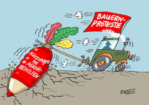 Rote Rübe Rote Rübe