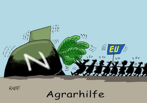 Rübenernte Rübenernte
