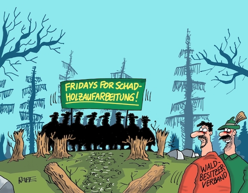 Schadholzaufarbeitung Schadholzaufarbeitung