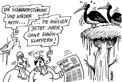 Cartoon: Schwarzstorch (medium) by RABE tagged schwarzstorch,schwarzer,cdu,bundesregierung,euro,krise,überwintern,süden,afrika,aktiv,klappern,klapperstorch,weißstorch,storchennest,horst,baum,baumstamm,mann,frau,ehepaar,politbarometer,umfrage,umfragetief,parteien,csu,spd,linke,grüne,zeitung,eis,minustemperaturen,frieren,glatteis,handwerk,regierung,cdu,opposition,koalition,bundesregierung,angela merkel,krise,kanzlerin,euro,umfragewerte,umfrage,umfragetief,bilanz,angela,merkel