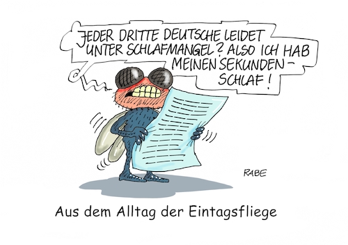Sekundenschlaf Sekundenschlaf