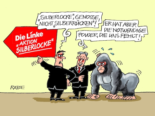 Silberrücken Silberrücken