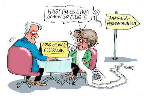 Sondierung mit Bart Sondierung mit Bart