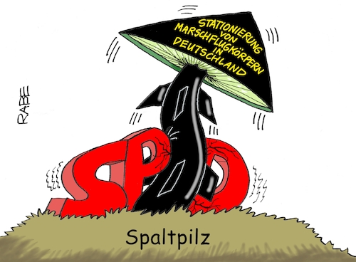 Spaltpilziges Spaltpilziges