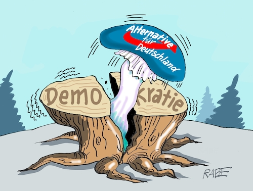 Spaltung Spaltung