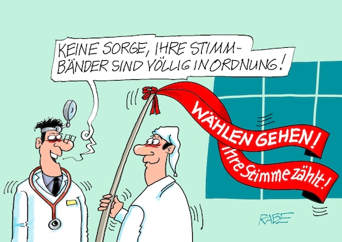 Stimmbänder Stimmbänder