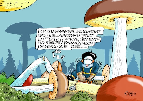 Superpilze Superpilze