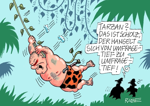 Cartoon: Tarzan Olaf (medium) by RABE tagged ampelregierung,scholz,spd,grüne,fdp,lindner,kinder,kindergrundsicherung,rabe,ralf,böhme,cartoon,karikatur,pressezeichnung,farbcartoon,tagescartoon,hausmeister,ohren,zähne,umfrage,umfragewerte,umfragetief,hangelei,urwald,liane,lianen,sonntagswahl,wahlprognose,ampelregierung,scholz,spd,grüne,fdp,lindner,kinder,kindergrundsicherung,rabe,ralf,böhme,cartoon,karikatur,pressezeichnung,farbcartoon,tagescartoon,hausmeister,ohren,zähne,umfrage,umfragewerte,umfragetief,hangelei,urwald,liane,lianen,sonntagswahl,wahlprognose