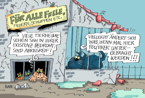 Tierheimproblematik Tierheimproblematik