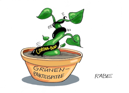 VerSchlingpflanze VerSchlingpflanze