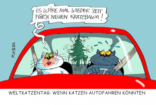 Weltkatzentag Weltkatzentag