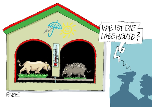 Cartoon: Wetterprognose (medium) by RABE tagged löwin,löwenalarm,wildschwein,berlin,kleinmachnow,wildtier,video,großwildjäger,fährtenleser,polizei,ausgangssperre,rabe,ralf,böhme,cartoon,karikatur,pressezeichnung,farbcartoon,tagescartoon,wetter,wetterhaus,wetterhäuschen,regen,sonne,keiler,raubkatze,löwin,löwenalarm,wildschwein,berlin,kleinmachnow,wildtier,video,großwildjäger,fährtenleser,polizei,ausgangssperre,rabe,ralf,böhme,cartoon,karikatur,pressezeichnung,farbcartoon,tagescartoon,wetter,wetterhaus,wetterhäuschen,regen,sonne,keiler,raubkatze