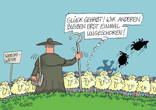 Woelki Schäfchen Woelki Schäfchen