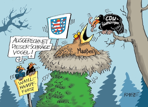 Zum Kuckuck Zum Kuckuck
