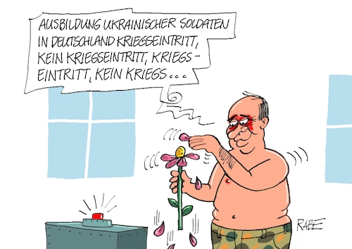 Zupfinstrument Zupfinstrument