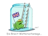 Cartoon: Das Brexitwetter (small) by RABE tagged brexit,eu,insel,may,britten,austritt,rabe,ralf,böhme,cartoon,karikatur,pressezeichnung,farbcartoon,tagescartoon,bauhaus,baukasten,bauklötzer,plan,referendum,februar,irre,irrsinn,frosch,wetter,wetterfrosch,wettervorhersage,leiter,einweckglas,sprossen