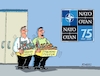 Cartoon: Nato feiert (small) by RABE tagged bundeswehr,pistorius,kriegstüchtigkeit,deutschland,armee,cartoon,karikatur,pressezeichnung,farbcartoon,tagescartoon,kriegsführung,nato,feier,jubiläum,militärbündnis,militärpakt,bauchladen,bauchläden,frieden,friedenspfeifen,kriegsbeile