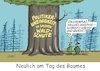 Cartoon: Uneinigkeit (small) by RABE tagged baum,wald,tag,ast,äste,laub,natur,waldspaziergang,jubiläum,rabe,ralf,böhme,cartoon,karikatur,pressezeichnung,farbcartoon,tagescartoon,axt,baumrinde,abholzung,baumfällung,waldschaden,stamm,politiker,uneinigkeit,waldschutz,naturschutz