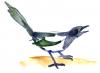 Cartoon: Magpie (small) by stip tagged water,colour,magpie,pastel