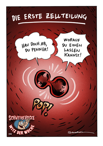 Cartoon: Schweinevogel Witz der Woche 049 (medium) by Schweinevogel tagged schweinevogel,funny,witz,cartoon,schwarwel,zelle,zellteilung
