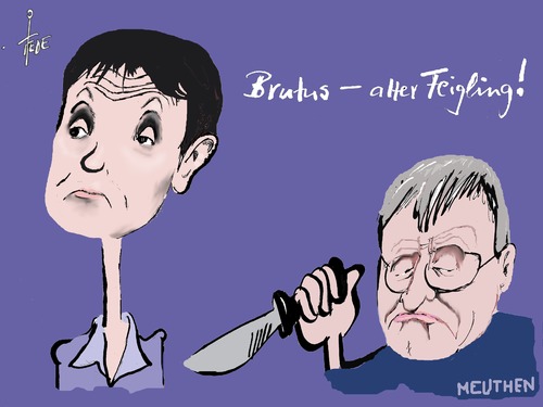AfD Petry AfD Petry
