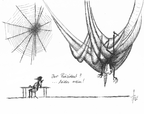 Cartoon: Krisenmanagement (medium) by tiede tagged spinngewebe,pressefreiheit,kreditaffäre,krisenmanagement,bundespräsident,wulff,tiedemann,tiede