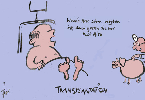 Hirn ist ok Hirn ist ok