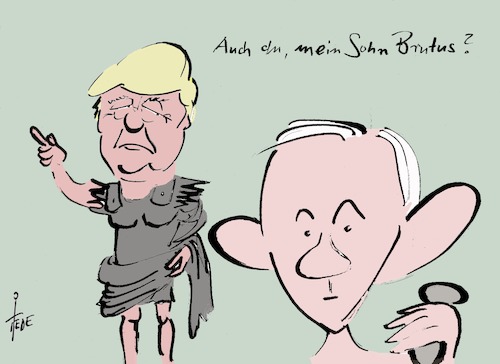 Trumps Brutus Trumps Brutus