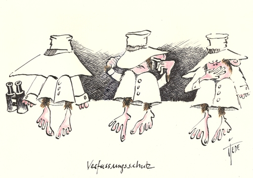 Verfassungsschutz Verfassungsschutz