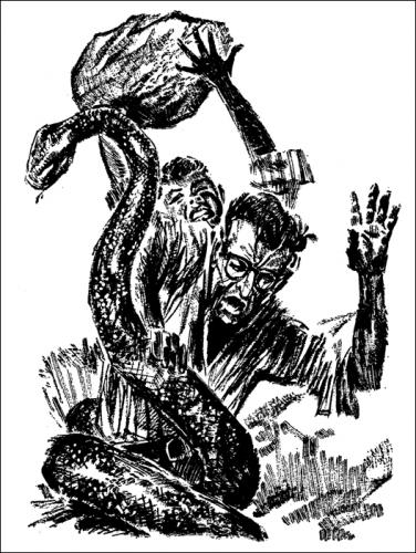 Cartoon: Black Cobra (medium) by Stef 1931-1995 tagged illustration