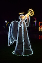 Cartoon: Angel (small) by Zlatko Iv tagged kunst,natura,culture,kult,love,collector,angeln,danke,nasa,kosmos,astro,tarot,night