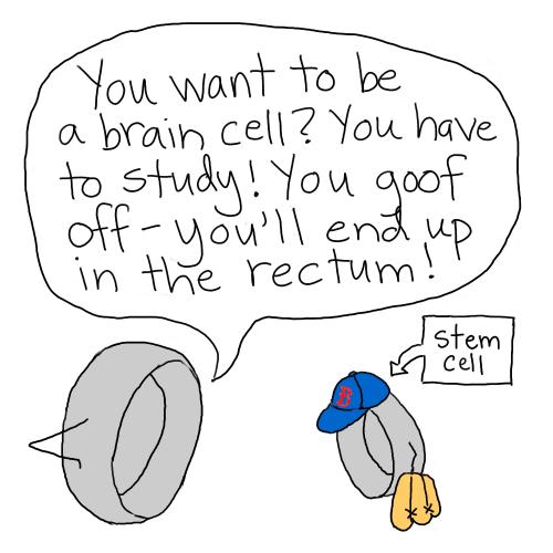 Cartoon: stem cells (medium) by mfarmand tagged stemcells,cells