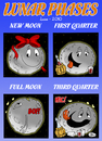 Cartoon: Luna phases (small) by Ludus tagged moon