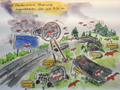 Cartoon: Fledermaus und A20 (medium) by Pralow tagged fledermaus,umeltschutz,autobahn,bauwerke,mobilität,verkehr,energiewende,planung,fledermaus,umweltschutz,autobahn,bauwerke,mobilität,verkehr,energiewende,planung