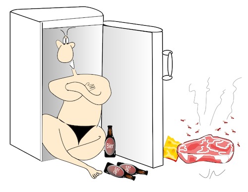 Cartoon: Coole Kühlung (medium) by Jochen N tagged hitze,sommer,heiß,kalt,bier,fleisch,käse,küche,sonne,eis,schmeißfliege,fleischfliege,fliege,abkühlung,nackt,maik