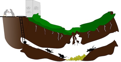 Cartoon: Demokratie untergraben (medium) by Jochen N tagged ratten,reichtum,wein,anstoßen,kapital,kapitalismus,korruption,bestechung,bestechlichkeit,skrupellosigkeit,mauer,wurzeln,untergrund,zusammenbruch