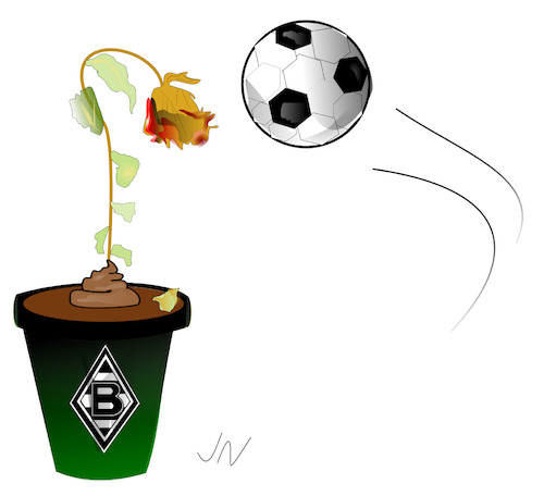 Cartoon: Rose (medium) by Jochen N tagged fußball,bundesliga,championsleague,borussia,mönchengladbach,gladbach,dortmund,bvb,bmg,manchester,trainer,blume,blumentopf,welk,blüte,scheiße,dünger