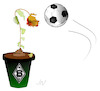 Cartoon: Rose (small) by Jochen N tagged fußball,bundesliga,championsleague,borussia,mönchengladbach,gladbach,dortmund,bvb,bmg,manchester,trainer,blume,blumentopf,welk,blüte,scheiße,dünger