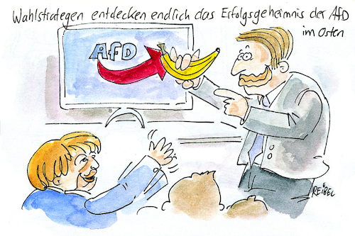 Cartoon: bananenrepublik (medium) by REIBEL tagged banane,osten,afd,partei,politik,populismus,merkel,wahl,strategie,berater,analyse,wahrheit,geheimnis,geheime,verführer,banane,osten,afd,partei,politik,populismus,merkel,wahl,strategie,berater,analyse,wahrheit,geheimnis,geheime,verführer