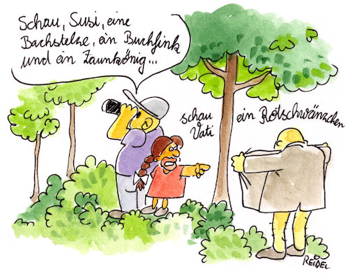 Cartoon: Frühlingserwachen (medium) by REIBEL tagged exhibitionist,vögel,beobachten,wald,frühling,kind,belästigung,fernglas,park