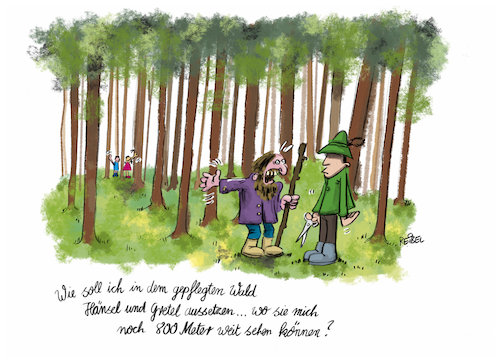 Waldmeister Waldmeister